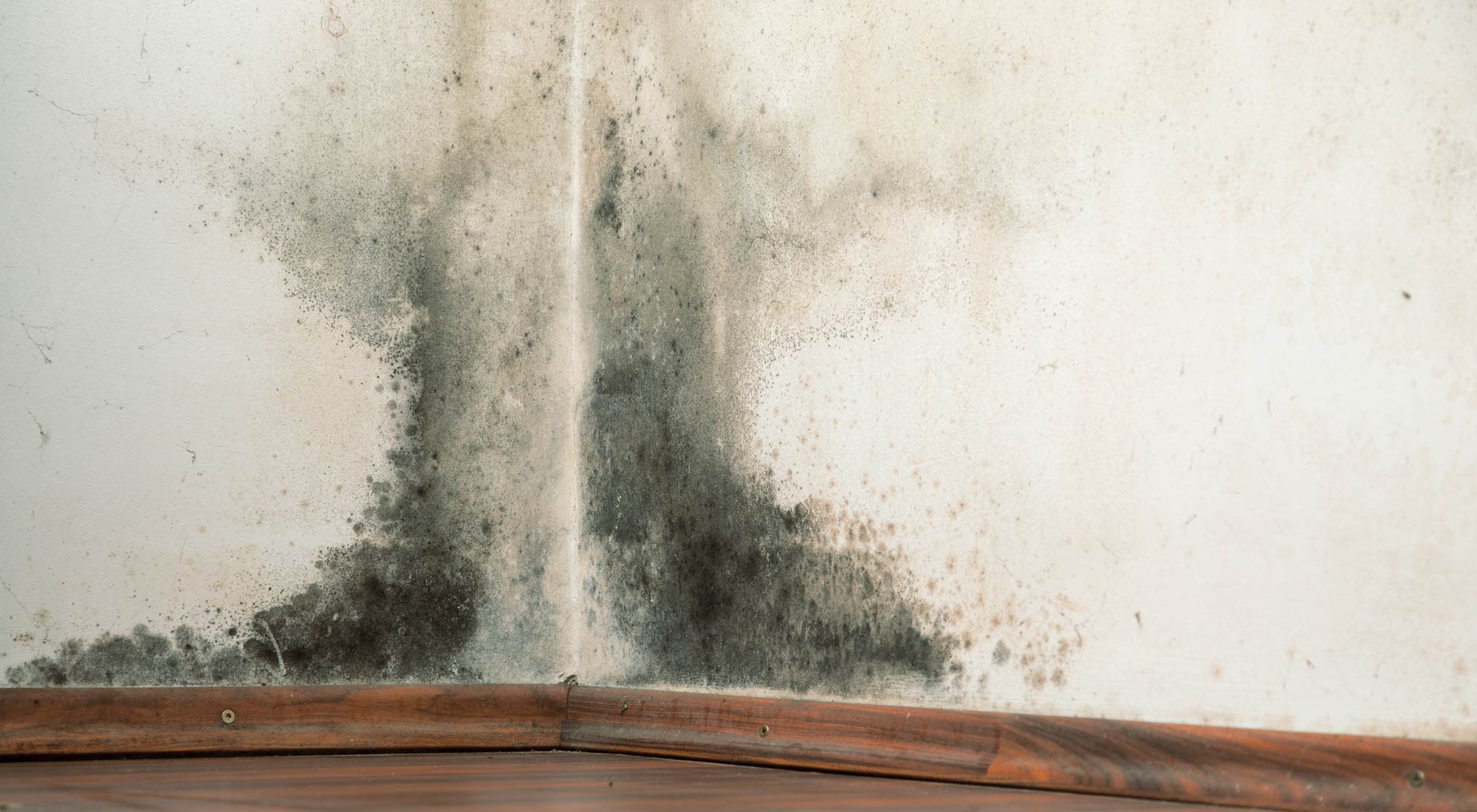 Housing Disrepair - Antony Hodari Solicitors