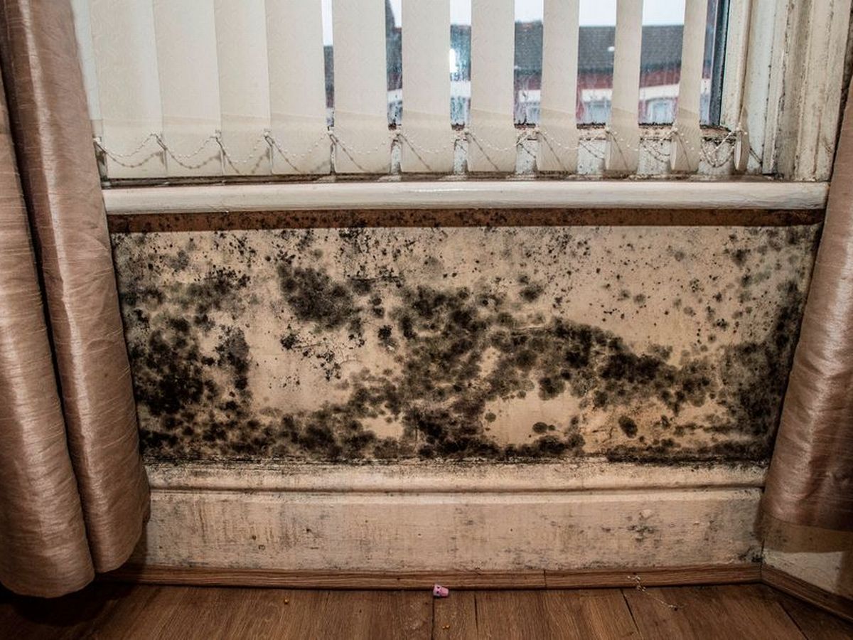 Private renters stuck in dangerous homes 'failed' by councils Antony