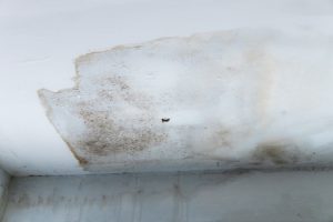 housing disrepair Manchester damp ceiling.